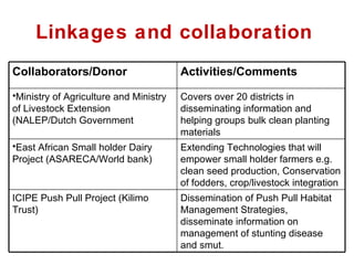 Napier Stunt and Smut Resistance Project in Kenya: achievements and outcomes