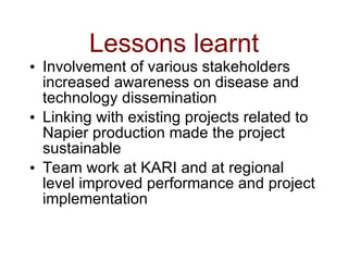 Napier Stunt and Smut Resistance Project in Kenya: achievements and outcomes