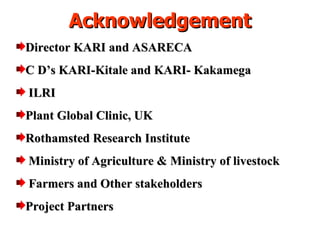 Napier Stunt and Smut Resistance Project in Kenya: achievements and outcomes