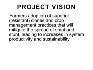 Napier Stunt and Smut Resistance Project in Kenya: achievements and outcomes