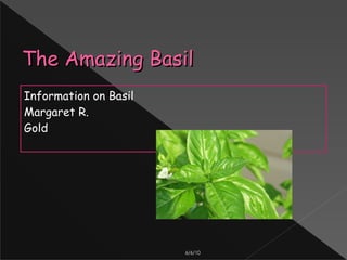 5/25/2010 The Amazing Basil  Information on Basil Margaret R. Gold 