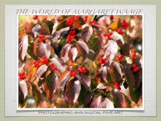 THE WORLD OF MARGARET WAAGE




    PHOTOGRAPHIC AND DIGITAL FINE ART
 