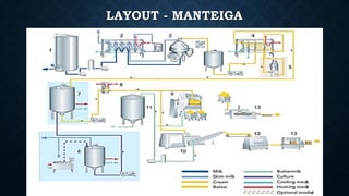 LAYOUT - MANTEIGA
 