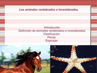 Los animales vertebrados e Invertebrados. Introducción Definición de animales vertebrados e invertebrados Clasificación  Peces  Esponjas  