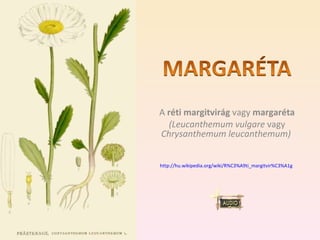 A  réti margitvirág  vagy  margaréta (Leucanthemum vulgare  vagy  Chrysanthemum leucanthemum)   http://hu.wikipedia.org/wiki/R%C3%A9ti_margitvir%C3%A1g   