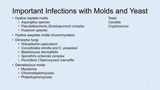 Important Infections with Molds and Yeast
• Hyaline septate molds Yeast
• Aspergillus species Candida
• Pseudallescheria (Scedosporium) complex Cryptococcus
• Fusarium species
• Hyaline aseptate molds (mucormycetes)
• Dimorphic fungi
• Histoplasma capsulatum
• Coccidioides immitis and C. posadasii
• Blastomyces dermatitidis
• Sporothrix schenckii complex
• Penicillium (Talaromyces) marneffei
• Dematiacious molds
• Mycetoma
• Chromoblastomycosis
• Phaeohyphomycosis
2
 