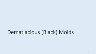 Dematiacious (Black) Molds
23
 