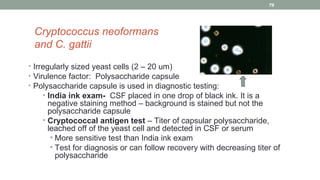 Cryptococcus neoformans
and C. gattii
• Irregularly sized yeast cells (2 – 20 um)
• Virulence factor: Polysaccharide capsule
• Polysaccharide capsule is used in diagnostic testing:
• India ink exam- CSF placed in one drop of black ink. It is a
negative staining method – background is stained but not the
polysaccharide capsule
• Cryptococcal antigen test – Titer of capsular polysaccharide,
leached off of the yeast cell and detected in CSF or serum
• More sensitive test than India ink exam
• Test for diagnosis or can follow recovery with decreasing titer of
polysaccharide
79
 