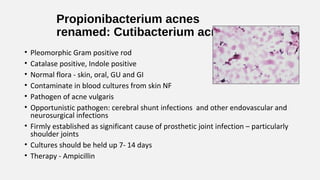 Propionibacterium acnes
renamed: Cutibacterium acnes
• Pleomorphic Gram positive rod
• Catalase positive, Indole positive
• Normal flora - skin, oral, GU and GI
• Contaminate in blood cultures from skin NF
• Pathogen of acne vulgaris
• Opportunistic pathogen: cerebral shunt infections and other endovascular and
neurosurgical infections
• Firmly established as significant cause of prosthetic joint infection – particularly
shoulder joints
• Cultures should be held up 7- 14 days
• Therapy - Ampicillin
 