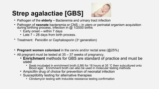 Strep agalactiae [GBS]
• Pathogen of the elderly – Bacteremia and urinary tract infection
• Pathogen of neonate bacteremia or CNS – in utero or perinatal organism acquisition
during birthing process, infection in @ 1/2000 births
• Early onset – within 7 days
• Late 7 – 28 days from birth process.
• Treatment: Penicillin or Cephalosporin (3rd
generation)
• Pregnant women colonized in the cervix and/or rectal area (@25%)
• All pregnant must be tested at 35 – 37 weeks of pregnancy.
• Enrichment methods for GBS are standard of practice and must be
used
• Swab incubated in enrichment broth (LIM) for 18 hours at 35 ˚C then subcultured onto
Blood agar. Enrichment broth can also be used in molecular testing methods
• Ampicillin drug of choice for prevention of neonatal infection
• Susceptibility testing for alternative therapies
• Clindamycin testing with Inducible resistance testing confirmation
 