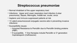 Streptococcus pneumoniae
• Normal inhabitant of the upper respiratory tract
• Infections: Upper and Lower respiratory tract infection (Lobar
pneumonia), Sepsis, Meningitis, middle ear, ocular, sinus
• Asplenic and immune suppressed patients at risk
• 13 valent pneumococcal conjugate vaccine aids in preventing invasive
infections
• Susceptibility issues:
• Acquired Resistance to Penicillin due to Penicillin binding proteins
(PBP)
• If susceptible, 1st
line therapies include Penicillin or 3rd
generation
Cephalosporin (Ceftriaxone)
 