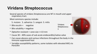 Viridans Streptococcus
Several species of viridans Streptococcus are NF in mouth and upper
respiratory tract.
Most commons species include:
S. mutans S. salivarius S. sanguis S. mitis
• Bile esculin = negative
• Bile solubility = negative
• Optochin resistant = zone size <=13 mm
• Cause 30 – 40% cases of sub acute endocarditis/native valve
• Can cause abscess and various infections throughout the body in the
immune suppressed host
• Variable susceptibility patterns, some isolates with elevated MICs to
Penicillin
Viridans
Streptococcu
s
 