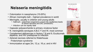 Neisseria meningitidis
• Colonization in nasopharynx (10-20%)
• African meningitis belt – highest prevalence in world
• Meningitis, usually in children and young adults
• Hallmark - petechiae (organisms crowd into capillaries) leads
to tissue necrosis and DIC (endotoxin)
• Infection can be rapidly fatal
• Capsular polysaccharide is primary virulence factor
• N. meningitidis serotypes A,B,C Y and W, most common
• Complement deficiencies in factors 7,8,and 9, Eculizumab,
asplenia, and HIV predispose to infection
• Adrenal necrosis referred to Waterhouse
Friderichsen syndrome
• Immunization at ages 2m, 12 yr, 16 yr, and in HIV
 