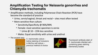 Amplification Testing for Neisseria gonorrhea andAmplification Testing for Neisseria gonorrhea and
Chlamydia trachomatisChlamydia trachomatis
• Amplification methods, including Polymerase Chain Reaction (PCR) haveAmplification methods, including Polymerase Chain Reaction (PCR) have
become the standard of practicebecome the standard of practice
• Urine, cervix/vaginal, throat and rectal – sites most often testedUrine, cervix/vaginal, throat and rectal – sites most often tested
• More sensitive than cultureMore sensitive than culture
• Sensitivity/Specificity @ 96%/99%Sensitivity/Specificity @ 96%/99%
• Female: most sensitive specimen is cervixFemale: most sensitive specimen is cervix
• Urine @ 10 – 15% less sensitiveUrine @ 10 – 15% less sensitive
• Males: Equal sensitivity with urine and urethralMales: Equal sensitivity with urine and urethral
• The ancient way:The ancient way:
C. trachomatis culture -
Iodine staining of inclusions
in McCoy cell culture –
previous method of choice
Fluorescent antibody stain of
C. trachomatis infected cell –
containing green staining
Elementary bodies
 