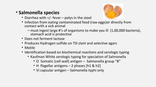 • Salmonella species
• Diarrhea with +/- fever – polys in the stool
• Infection from eating contaminated food (raw eggs)or directly from
contact with a sick animal
– must ingest large #’s of organisms to make you ill (1,00,000 bacteria),
stomach acid is protective
• Does not ferment lactose
• Produces Hydrogen sulfide on TSI slant and selective agars
• Motile
• Identification based on biochemical reactions and serologic typing
• Kaufman White serologic typing for speciation of Salmonella
• O Somatic (cell wall) antigen – Salmonella group “B”
• H flagellar antigens – 2 phases [h1 & h2]
• Vi capsular antigen – Salmonella typhi only
 