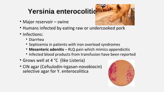 Yersinia enterocolitica
• Major reservoir – swine
• Humans infected by eating raw or undercooked pork
• Infections:
• Diarrhea
• Septicemia in patients with iron overload syndromes
• Mesenteric adenitis – RLQ pain which mimics appendicitis
• Infected blood products from transfusion have been reported
• Grows well at 4 °C (like Listeria)
• CIN agar (Cefsulodin-irgasan-novobiocin)
selective agar for Y. enterocolitica
 
