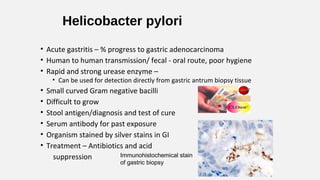 Helicobacter pylori
• Acute gastritis – % progress to gastric adenocarcinoma
• Human to human transmission/ fecal - oral route, poor hygiene
• Rapid and strong urease enzyme –
• Can be used for detection directly from gastric antrum biopsy tissue
• Small curved Gram negative bacilli
• Difficult to grow
• Stool antigen/diagnosis and test of cure
• Serum antibody for past exposure
• Organism stained by silver stains in GI
• Treatment – Antibiotics and acid
suppression Immunohistochemical stain
of gastric biopsy
 