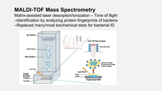 MALDI-TOF Mass Spectrometry
Matrix-assisted laser desorption/ionization – Time of flight
–Identification by analyzing protein fingerprints of bacteria
–Replaced many/most biochemical tests for bacterial ID
 