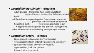 • Clostridium botulinum – Botulism
– Adult disease – Preformed heat labile neurotoxin
ingested is mass produced or in home-canned
foods
– Infant disease - spore ingested from nature or product
produced in nature such as honey or
household dust, neurotoxin produced in gut
• Begins with constipation and difficult sucking bottle
– Both forms are ife threatening neuroparalytic disease
• Clostridium tetani - Tetanus
• Gram stained cells appear like Tennis racket
• Tetanospasmin toxin enters by penetrating skin injury
• Spastic contractions of voluntary muscles,
hyper-reflexia, lock jaw (trismus)
• Immunization to prevent
 