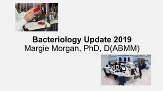 Bacteriology Update 2019
Margie Morgan, PhD, D(ABMM)
 