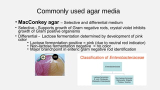 Commonly used agar media
• MacConkey agar – Selective and differential medium
• Selective - Supports growth of Gram negati...