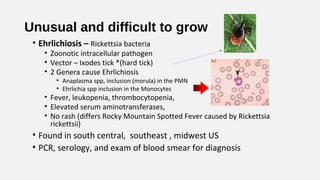 Unusual and difficult to grow
• Ehrlichiosis – Rickettsia bacteria
• Zoonotic intracellular pathogen
• Vector – Ixodes tic...