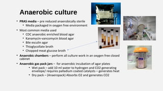 Anaerobic culture
• PRAS media – pre reduced anaerobically sterile
• Media packaged in oxygen free environment
• Most comm...