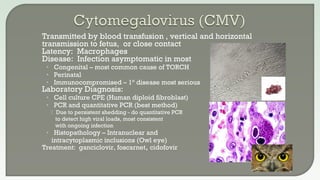  Transmitted by blood transfusion , vertical and horizontal
transmission to fetus, or close contact
 Latency: Macrophages
 Disease: Infection asymptomatic in most
• Congenital – most common cause of TORCH
• Perinatal
• Immunocompromised – 1° disease most serious
 Laboratory Diagnosis:
• Cell culture CPE (Human diploid fibroblast)
• PCR and quantitative PCR (best method)
 Due to persistent shedding - do quantitative PCR
to detect high viral loads, most consistent
with ongoing infection
• Histopathology – Intranuclear and
intracytoplasmic inclusions (Owl eye)
 Treatment: ganciclovir, foscarnet, cidofovir
 