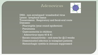  DNA - non enveloped/ icosahedral virus
 Latent: lymphoid tissue
 Transmission: Respiratory and fecal-oral route
 Diseases:
• Pharyngitis (year round epidemics)
• Pneumonia
• Gastroenteritis in children
 Adenovirus types 40 & 41
• Kerato-conjunctivitis – red eyes for @ 2 weeks
• Disseminated infection in transplant patients
• Hemorrhagic cystitis in immune suppressed
 