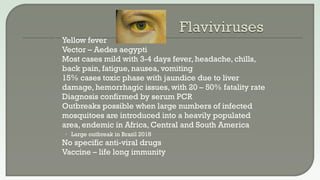  Yellow fever
 Vector – Aedes aegypti
 Most cases mild with 3-4 days fever, headache, chills,
back pain, fatigue, nausea, vomiting
 15% cases toxic phase with jaundice due to liver
damage, hemorrhagic issues, with 20 – 50% fatality rate
 Diagnosis confirmed by serum PCR
 Outbreaks possible when large numbers of infected
mosquitoes are introduced into a heavily populated
area, endemic in Africa, Central and South America
• Large outbreak in Brazil 2018
 No specific anti-viral drugs
 Vaccine – life long immunity
 
