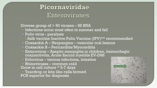  Diverse group of > 60 viruses – SS RNA
• Infections occur most often in summer and fall
• Polio virus - paralysis
 Salk vaccine Inactive Polio Vaccine (IPV)** recommended
• Coxsackie A – Herpangina – vesicular oral lesions
• Coxsackie B – Pericarditis/Myocarditis
• Enterovirus – Aseptic meningitis in children, hemorrhagic
conjunctivitis, Acute flaccid myelitis EV-D68
• Echovirus – various infections, intestine
• Rhinoviruses – common cold
 Grow in cell culture * 5-7 days
• Teardrop or kite like cells formed
 PCR superior for diagnosis
 