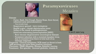 Disease
• Fever, Rash, Dry Cough, Runny Nose, Sore throat,
inflamed eyes (photosensitive)
 Can invade lung
• Respiratory spread - very contagious
• Koplik’s spot – bluish discoloration inner
lining of the cheek is pathognomonic
• Subacute sclerosing panencephalitis [SSPE]
 Rare chronic degenerative neurological disease
 Persistent infection with a mutated measles virus,
due to mutated virus there is total lack of an
immune response
Diagnosis: Clinical symptoms, PCR nasal or throat is best,
IgM serology can have false positive reactions
Vaccinate – MMR (Measles, Mumps, Rubella) vaccine
Treatment: Not specific, Immune globulin, vitamin A
H and E stain/ lung
 