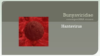 Hantavirus
 