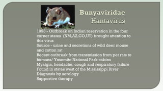  1993 - Outbreak on Indian reservation in the four
corner states (NM,AZ,CO,UT) brought attention to
this virus
 Source - urine and secretions of wild deer mouse
and cotton rat
 Recent outbreak from transmission from pet rats to
humans/ Yosemite National Park cabins
 Myalgia, headache, cough and respiratory failure
 Found in states west of the Mississippi River
 Diagnosis by serology
 Supportive therapy
 