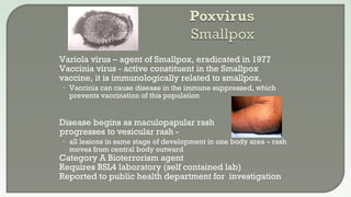  Variola virus – agent of Smallpox, eradicated in 1977
 Vaccinia virus - active constituent in the Smallpox
vaccine, it is immunologically related to smallpox,
• Vaccinia can cause disease in the immune suppressed, which
prevents vaccination of this population
 Disease begins as maculopapular rash
progresses to vesicular rash -
• all lesions in same stage of development in one body area – rash
moves from central body outward
 Category A Bioterrorism agent
 Requires BSL4 laboratory (self contained lab)
 Reported to public health department for investigation
 