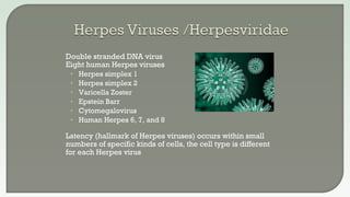  Double stranded DNA virus
 Eight human Herpes viruses
• Herpes simplex 1
• Herpes simplex 2
• Varicella Zoster
• Epstein Barr
• Cytomegalovirus
• Human Herpes 6, 7, and 8
 Latency (hallmark of Herpes viruses) occurs within small
numbers of specific kinds of cells, the cell type is different
for each Herpes virus
 