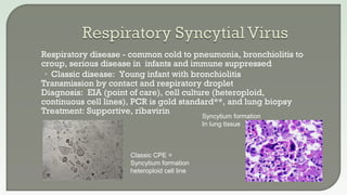  Respiratory disease - common cold to pneumonia, bronchiolitis to
croup, serious disease in infants and immune suppressed
• Classic disease: Young infant with bronchiolitis
 Transmission by contact and respiratory droplet
 Diagnosis: EIA (point of care), cell culture (heteroploid,
continuous cell lines), PCR is gold standard**, and lung biopsy
 Treatment: Supportive, ribavirin
Classic CPE =
Syncytium formation
heteroploid cell line
Syncytium formation
In lung tissue
 