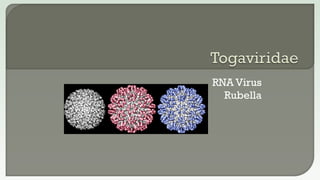 RNA Virus
Rubella
 