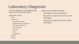Laboratory Diagnosis
Current diagnosis is predominately
based on microscopic exam
Specimen types:
◦Stool
◦Non-stool
◦Perianal specimen
◦Sigmoidoscopic specimen
◦Duodenal aspirates
◦Liver abscess
◦Sputum
◦Urine
◦Urogenital
◦Blood
◦Tissue
Alternative testing methods:
◦Serology for select pathogens
◦Fluorescent stains of stool for select
pathogens
◦Molecular assays of stool for select
pathogens
 
