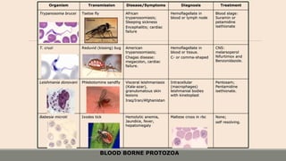 None;None;
self resolving.self resolving.
Maltese cross in rbcMaltese cross in rbcHemolytic anemia,Hemolytic anemia,
Jaundice, fever,Jaundice, fever,
hepatomegalyhepatomegaly
Ixodes tickIxodes tickBabesia microtiBabesia microti
Pentosam;Pentosam;
PentamidinePentamidine
isethionate.isethionate.
IntracellularIntracellular
(macrophages)(macrophages)
leishmanial bodiesleishmanial bodies
with kinetoplastwith kinetoplast
Visceral leishmaniasisVisceral leishmaniasis
(Kala-azar),(Kala-azar),
granulomatous skingranulomatous skin
lesionslesions
Iraq/Iran/AfghanistanIraq/Iran/Afghanistan
Phlebotomine sandflyPhlebotomine sandflyLeishmania donovaniLeishmania donovani
CNS:CNS:
melarsoperolmelarsoperol
Nifurtimox andNifurtimox and
Benzonidazole.Benzonidazole.
Hemoflagellate inHemoflagellate in
blood or tissue.blood or tissue.
C- or comma-shapedC- or comma-shaped
AmericanAmerican
trypanosomiasis;trypanosomiasis;
Chagas disease:Chagas disease:
megacolon, cardiacmegacolon, cardiac
failure.failure.
Reduvid (kissing) bugReduvid (kissing) bugT. cruziT. cruzi
Blood stage:Blood stage:
Suramin orSuramin or
petamidinepetamidine
isethionateisethionate
Hemoflagellate inHemoflagellate in
blood or lymph nodeblood or lymph node
AfricanAfrican
trypanosomiasis;trypanosomiasis;
Sleeping sicknessSleeping sickness
Encephalitis; cardiacEncephalitis; cardiac
failurefailure
Tsetse flyTsetse flyTrypanosoma bruceiTrypanosoma brucei
TreatmentTreatmentDiagnosisDiagnosisDisease/SymptomsDisease/SymptomsTransmissionTransmissionOrganismOrganism
BLOOD BORNE PROTOZOA
 