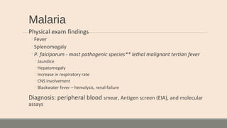 Malaria
Physical exam findings
◦Fever
◦Splenomegaly
◦P. falciparum - most pathogenic species** lethal malignant tertian fever
◦Jaundice
◦Hepatomegaly
◦Increase in respiratory rate
◦CNS involvement
◦Blackwater fever – hemolysis, renal failure
Diagnosis: peripheral blood smear, Antigen screen (EIA), and molecular
assays
 