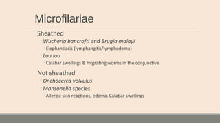 Microfilariae
Sheathed
◦Wucheria bancrofti and Brugia malayi
◦Elephantiasis (lymphangitis/lymphedema)
◦Loa loa
◦Calabar swellings & migrating worms in the conjunctiva
Not sheathed
◦Onchocerca volvulus
◦Mansonella species
◦Allergic skin reactions, edema, Calabar swellings
 