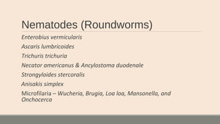 Nematodes (Roundworms)
Enterobius vermicularis
Ascaris lumbricoides
Trichuris trichuria
Necator americanus & Ancylostoma duodenale
Strongyloides stercoralis
Anisakis simplex
Microfilaria – Wucheria, Brugia, Loa loa, Mansonella, and
Onchocerca
 