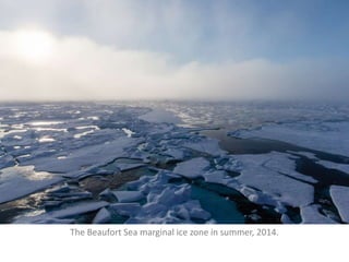 Marginal ice zone processes | PPT