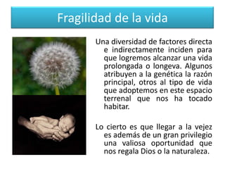 Fragilidad de la vida
Una diversidad de factores directa
e indirectamente inciden para
que logremos alcanzar una vida
prolongada o longeva. Algunos
atribuyen a la genética la razón
principal, otros al tipo de vida
que adoptemos en este espacio
terrenal que nos ha tocado
habitar.
Lo cierto es que llegar a la vejez
es además de un gran privilegio
una valiosa oportunidad que
nos regala Dios o la naturaleza.

 