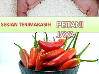 Margin pemasaran tanaman pangan