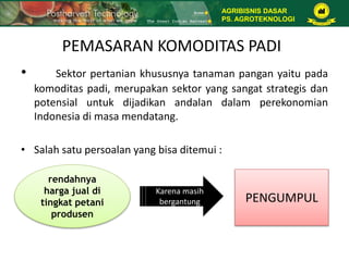 PEMASARAN KOMODITAS PADI
• Sektor pertanian khususnya tanaman pangan yaitu pada
komoditas padi, merupakan sektor yang sangat strategis dan
potensial untuk dijadikan andalan dalam perekonomian
Indonesia di masa mendatang.
• Salah satu persoalan yang bisa ditemui :
rendahnya
harga jual di
tingkat petani
produsen
Karena masih
bergantung PENGUMPUL
AGRIBISNIS DASAR
PS. AGROTEKNOLOGI
 