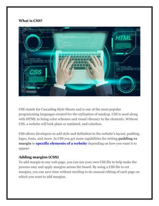Margin vs Padding.pdf