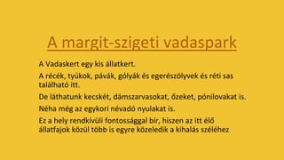 A margit-szigeti vadaspark
A Vadaskert egy kis állatkert.
A récék, tyúkok, pávák, gólyák és egerészölyvek és réti sas
található itt.
De láthatunk kecskét, dámszarvasokat, őzeket, pónilovakat is.
Néha még az egykori névadó nyulakat is.
Ez a hely rendkívüli fontossággal bír, hiszen az itt élő
állatfajok közül több is egyre közeledik a kihalás széléhez
 