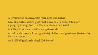 A természetes növényzetből mára nem sok maradt.
Főként a parti részeken gyakoriak a nyárfák (a partot többnyire
jegenyenyár szegélyezi), a füzek, a kőrisek és a szilek.
A sétányok mentén látható a nyugati ostorfa.
A parkos részeken sok az (igen idős) platán, a vadgesztenye (bokrétafa),
illetve a hársak.
Az itt élő tölgyek már közel 150 évesek!
 